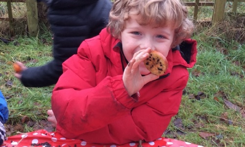 News » getting ready for our RSPB Big Bird Watch